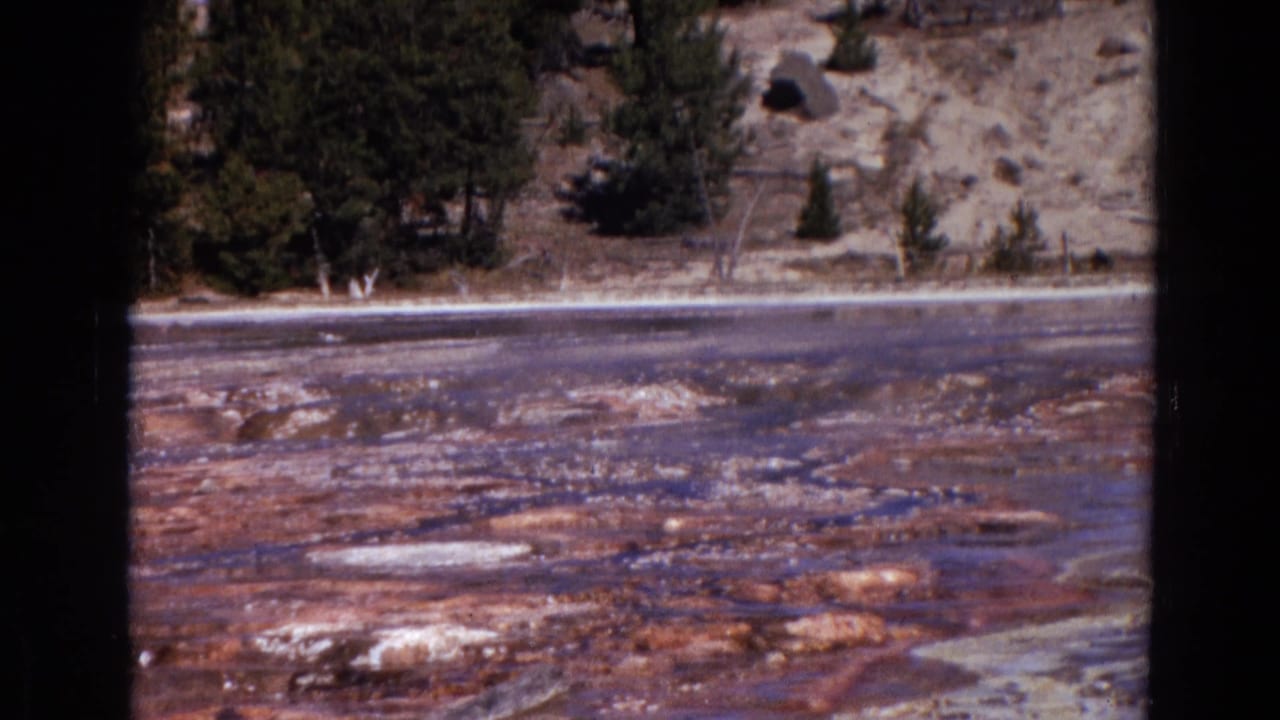 Yellowstone home-movie frame from 1967 showing reddish mineral deposits, pale crusts, water, pine trees, and hillside terrain.
