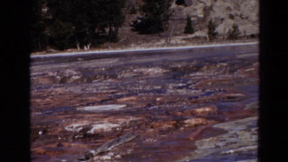 Yellowstone 1967 home-movie frame showing colorful geothermal terrain, pale mineral crust, shallow water, and trees on a rocky slope.