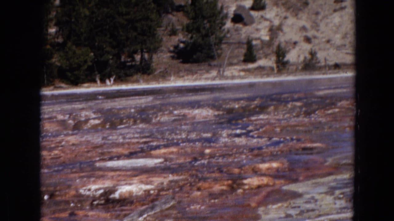 Mineral-stained geothermal ground with shallow water, pale crust, trees, and a dark film border.