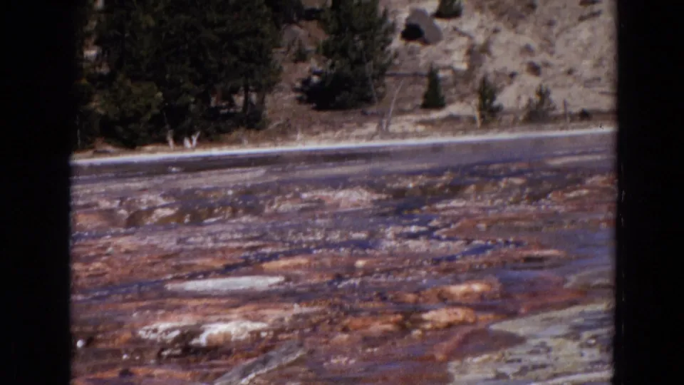 1967 Yellowstone 8mm frame showing mineral-streaked geothermal terraces, shallow pools, pale deposits, and trees beyond the basin.