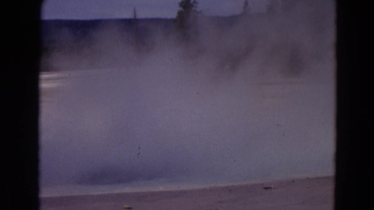 Dense steam obscures much of the geyser basin, with a dark tree line beyond.