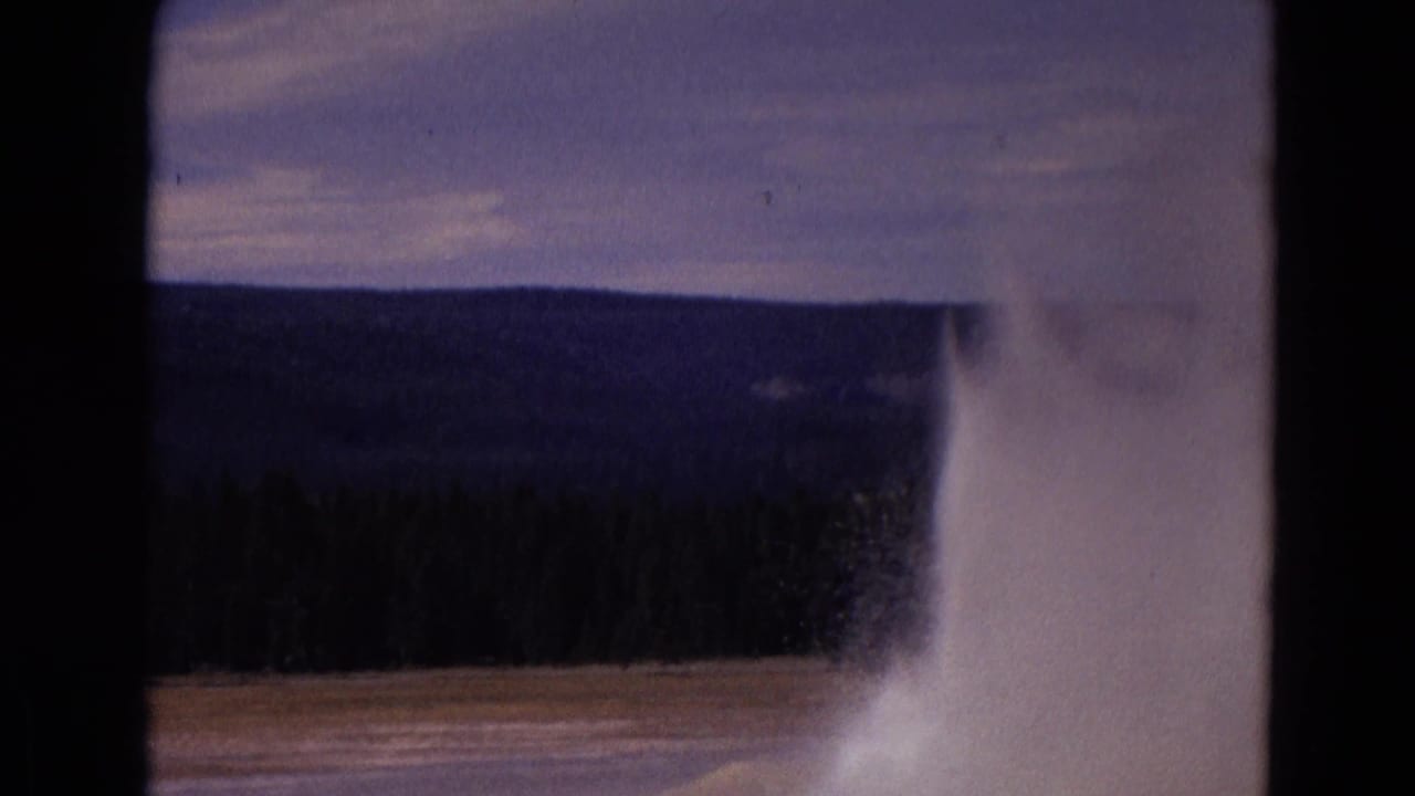 Old Faithful geyser plume rises beside forested hills under a muted sky.