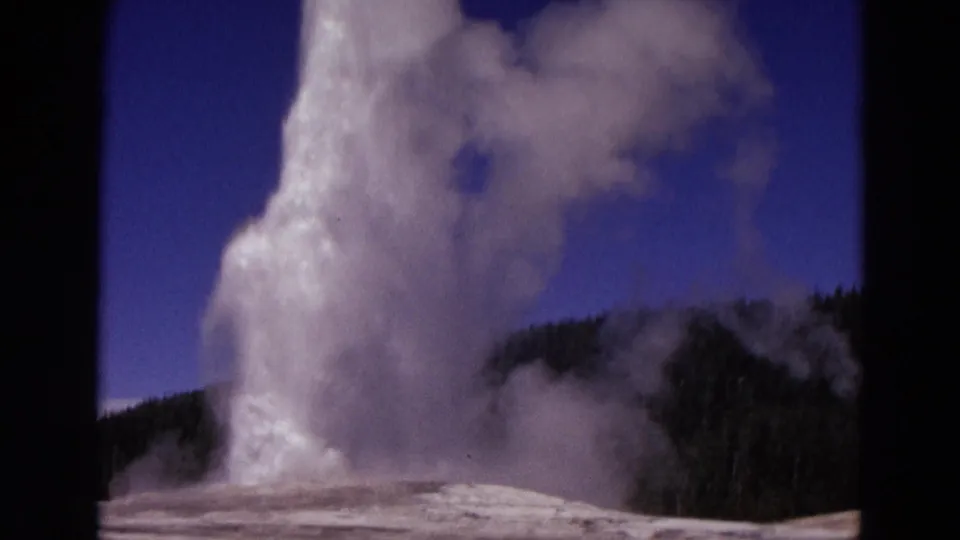 1967 8mm view of Old Faithful erupting in Yellowstone, with steam and water rising above a dark pine ridge.