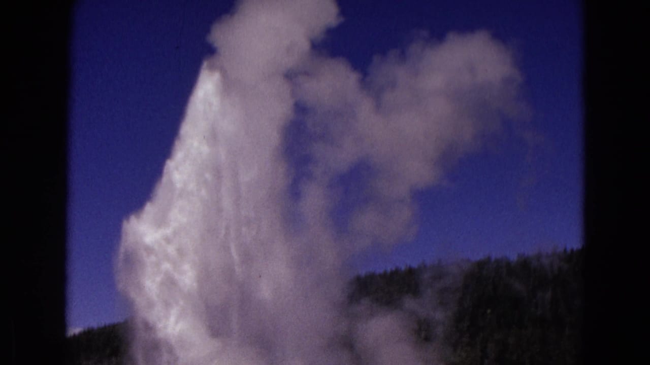 Tall geyser plume rises beside drifting steam with forested ridge in the background.