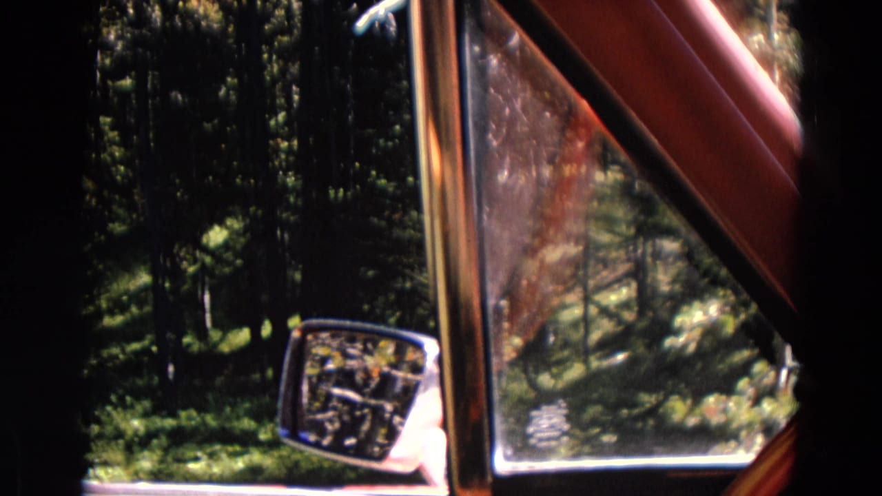View from inside a red-interior vehicle toward pine forest in Yellowstone, with the side mirror catching reflected road detail.