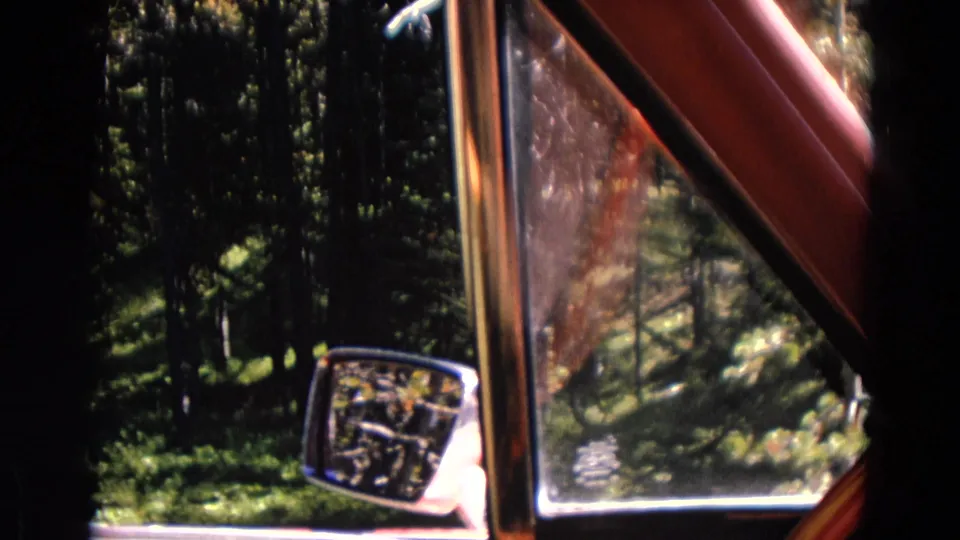 View from inside a red-interior vehicle toward pine forest in Yellowstone, with the side mirror catching reflected road detail.
