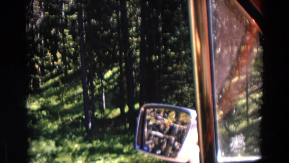 1967 Yellowstone travel footage frames dense pines and sunlit ground cover through a vehicle window and side mirror.