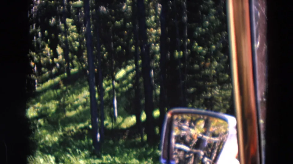 A red-framed car window and side mirror foreground a sunlit pine forest in 1967 Yellowstone home-movie footage.