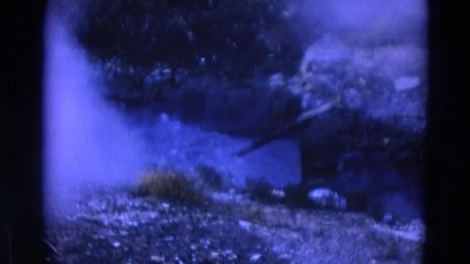 Blue-shifted 8mm frame from the Yellowstone clip showing haze or smoke over rocky ground and dark vegetation.