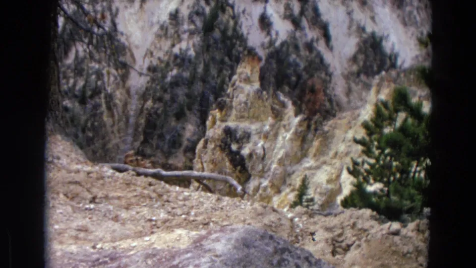 1967 Yellowstone home-movie view of eroded pale canyon rock, rough ground, a fallen branch, and a small evergreen shrub.