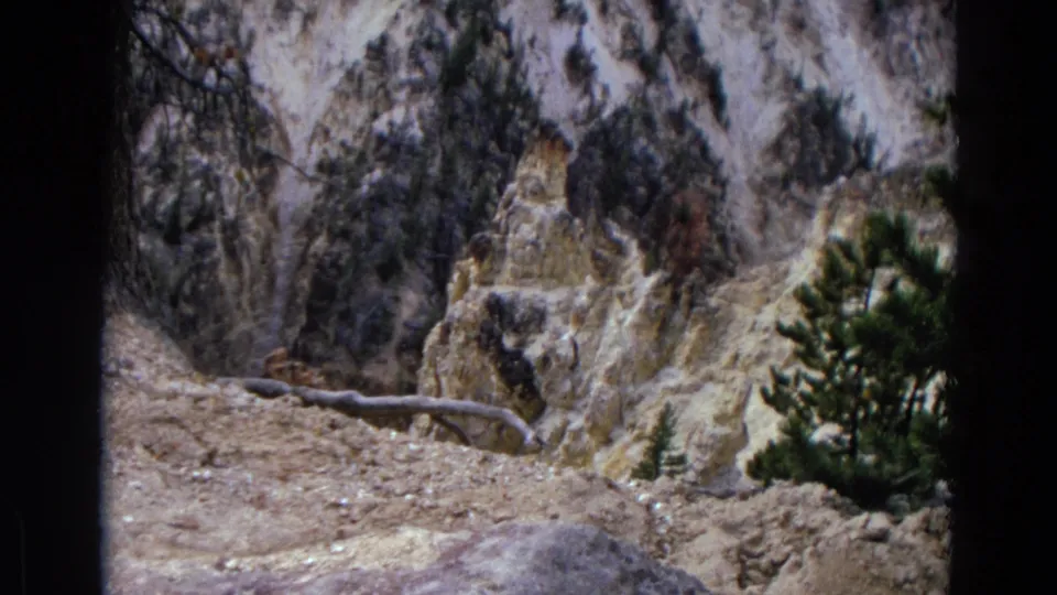 1967 Yellowstone frame showing pale eroded canyon rock, a fallen branch across rough soil, and a small evergreen near the lower right.