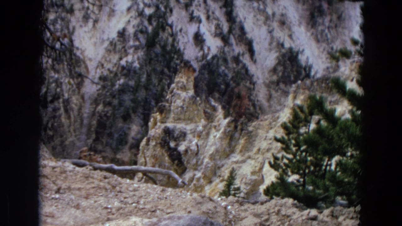 Rocky cliff slope with evergreen trees and a fallen log in the foreground.