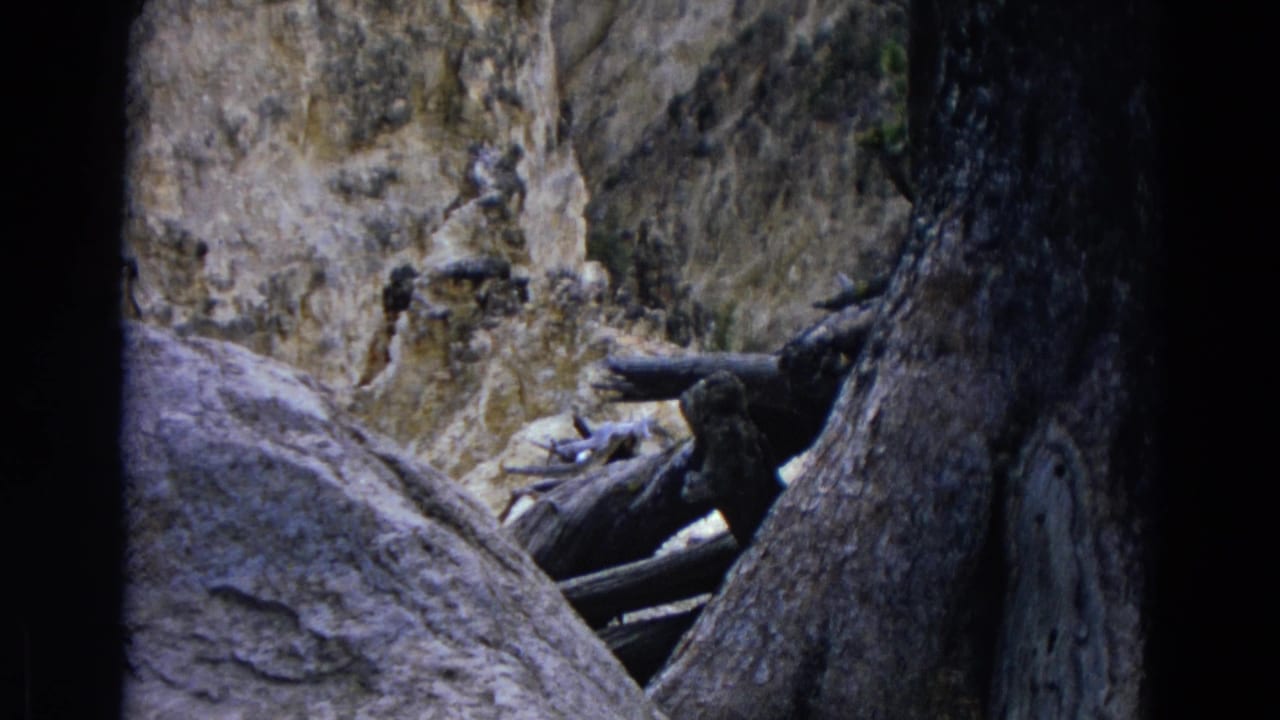Tree trunk and boulder framing a rocky crevice with snow in the distance.