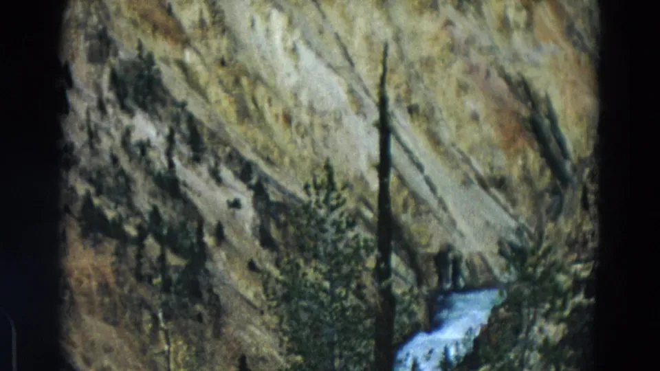 1967 Yellowstone landscape frame showing a sunlit canyon hillside, scattered pines, and white water below the rock face.