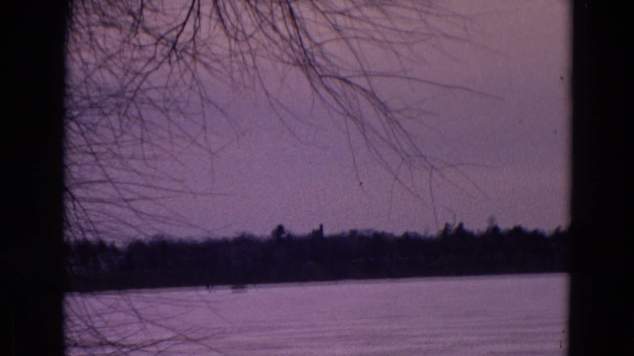 Bare tree branches hang over still water with a distant shoreline.