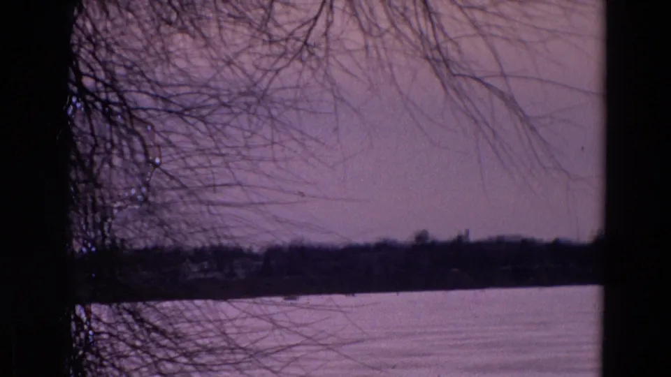 1967 Yellowstone frame showing bare branches, a dark tree trunk, quiet water, and a distant wooded shore in twilight color.