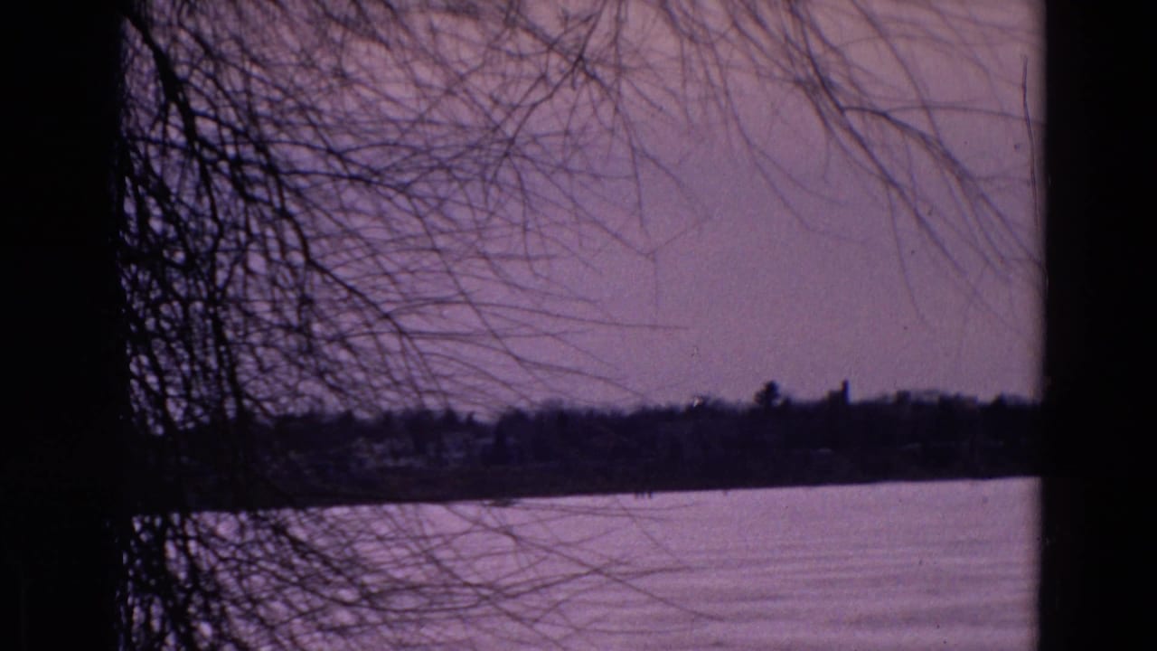 Frozen lake framed by bare branches and dark tree trunks at dusk.