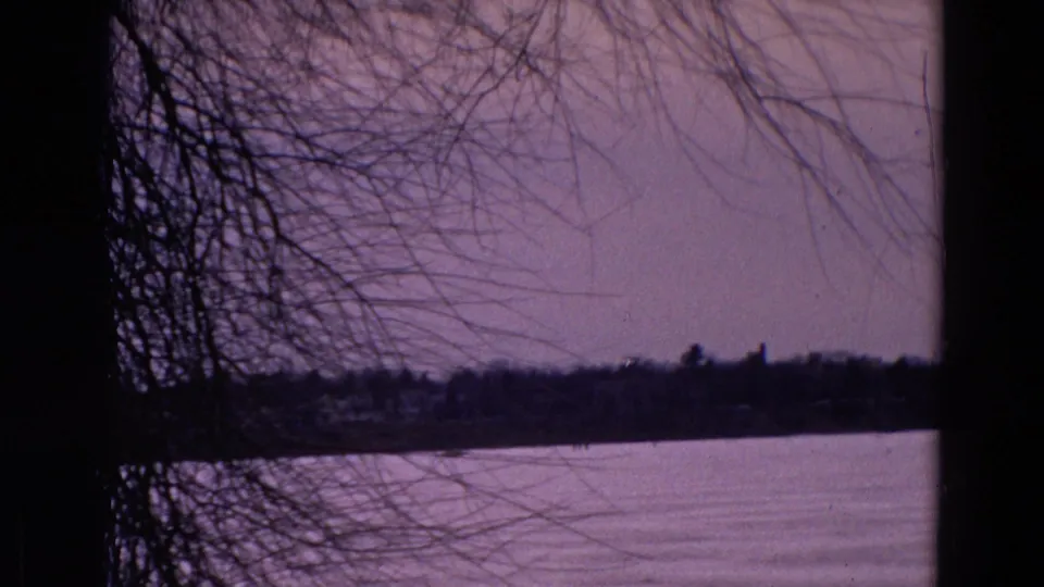 1967 8mm home-movie view of a frozen lakeside landscape in Yellowstone Park, Wyoming, framed by bare branches and dark vertical trunks.