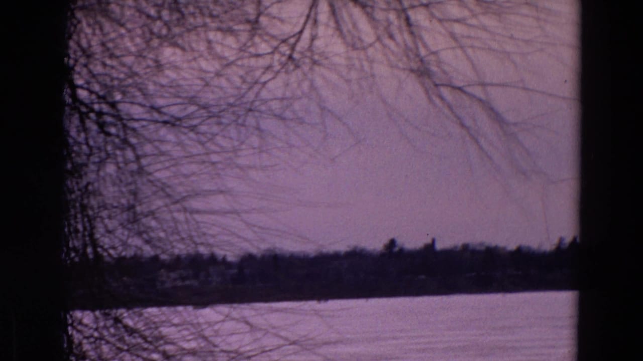 Frozen lakeside view with bare branches and a distant dark shoreline.