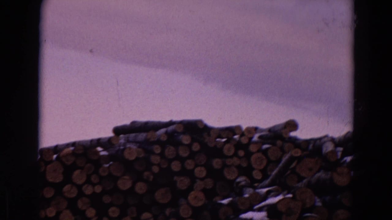 1967 8mm frame from Yellowstone Park, Wyoming, showing dense stacks of cut logs outdoors with snow patches and a pale sky.