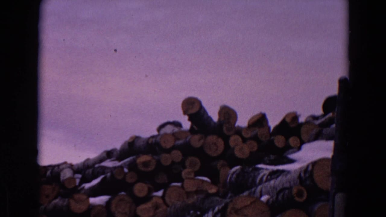 Snow-dusted logs stacked in rows with rounded cut ends visible against the sky.