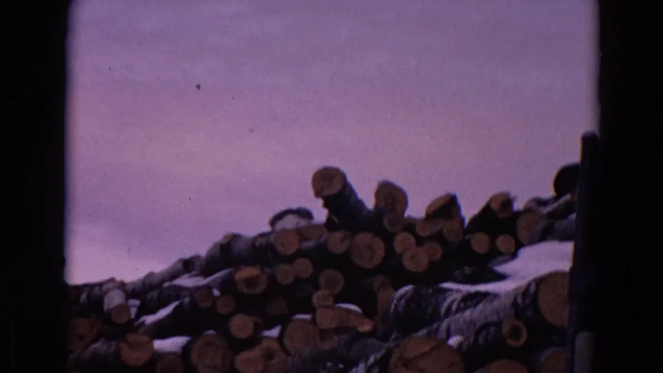 1967 Yellowstone Park lumberyard view with snow-dusted log stacks and uneven piles silhouetted against a pale sky.