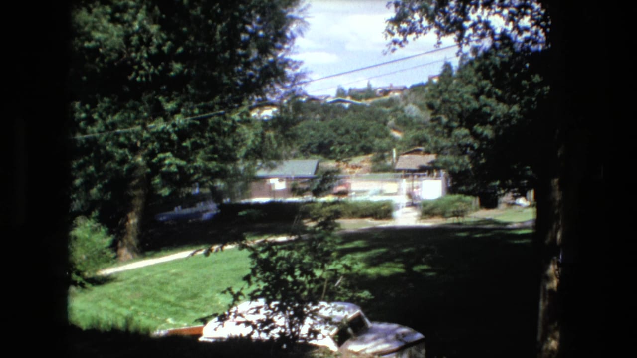 Tree-framed suburban yard with lawn, saplings, a small house, and hillside trees.