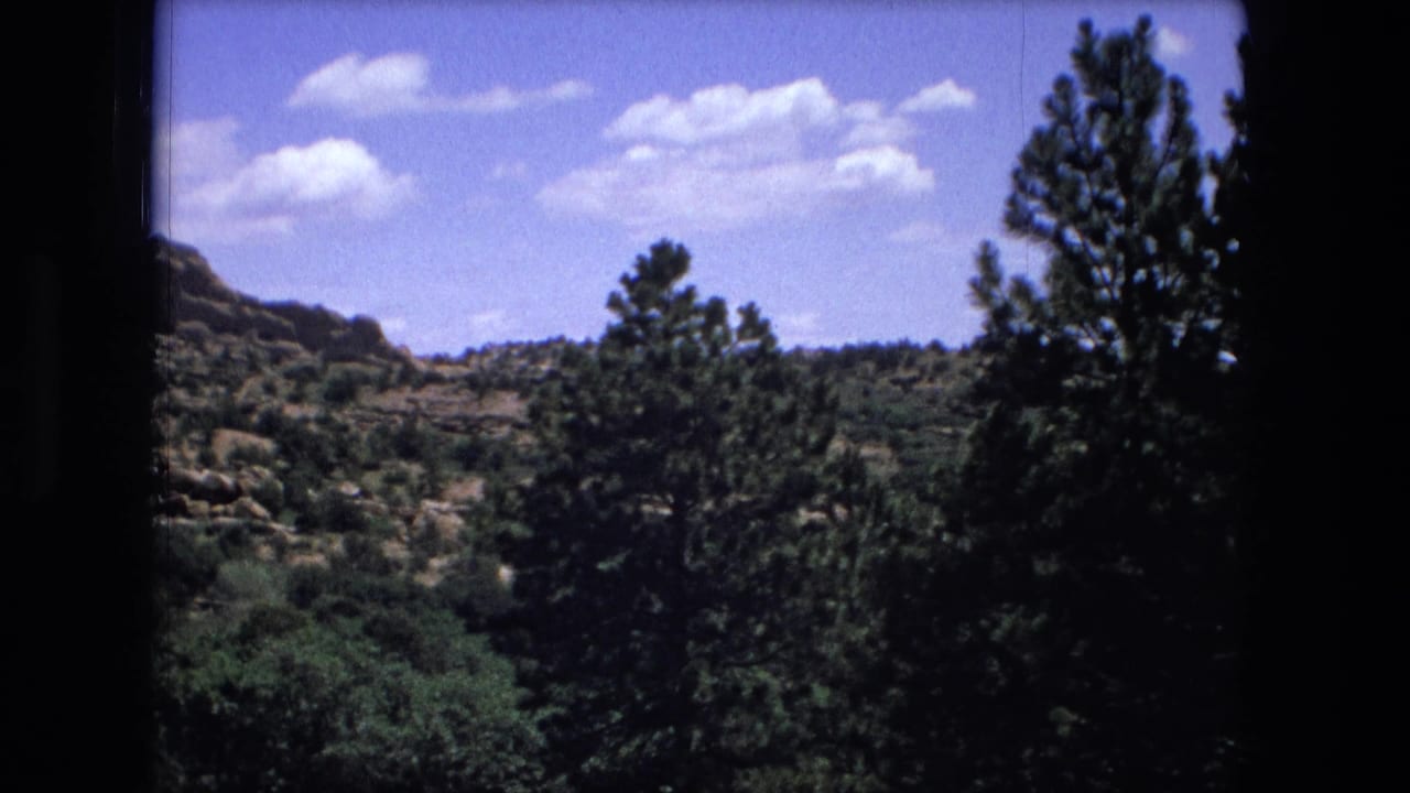 Forested hills with a tall evergreen tree and partly cloudy sky.