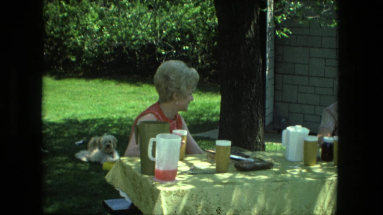 Woman turns to the side at a yellow-covered backyard table with cups, pitchers, and a small dog on the grass.