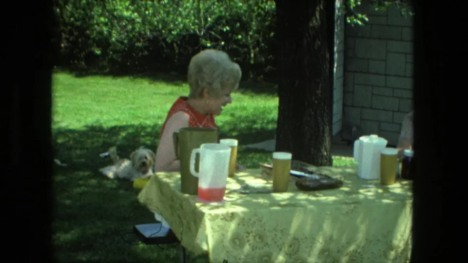 The woman leans at the yellow-covered table in the Fort Wayne backyard, with drink pitchers, cups, tree shade, and the small dog still visible.