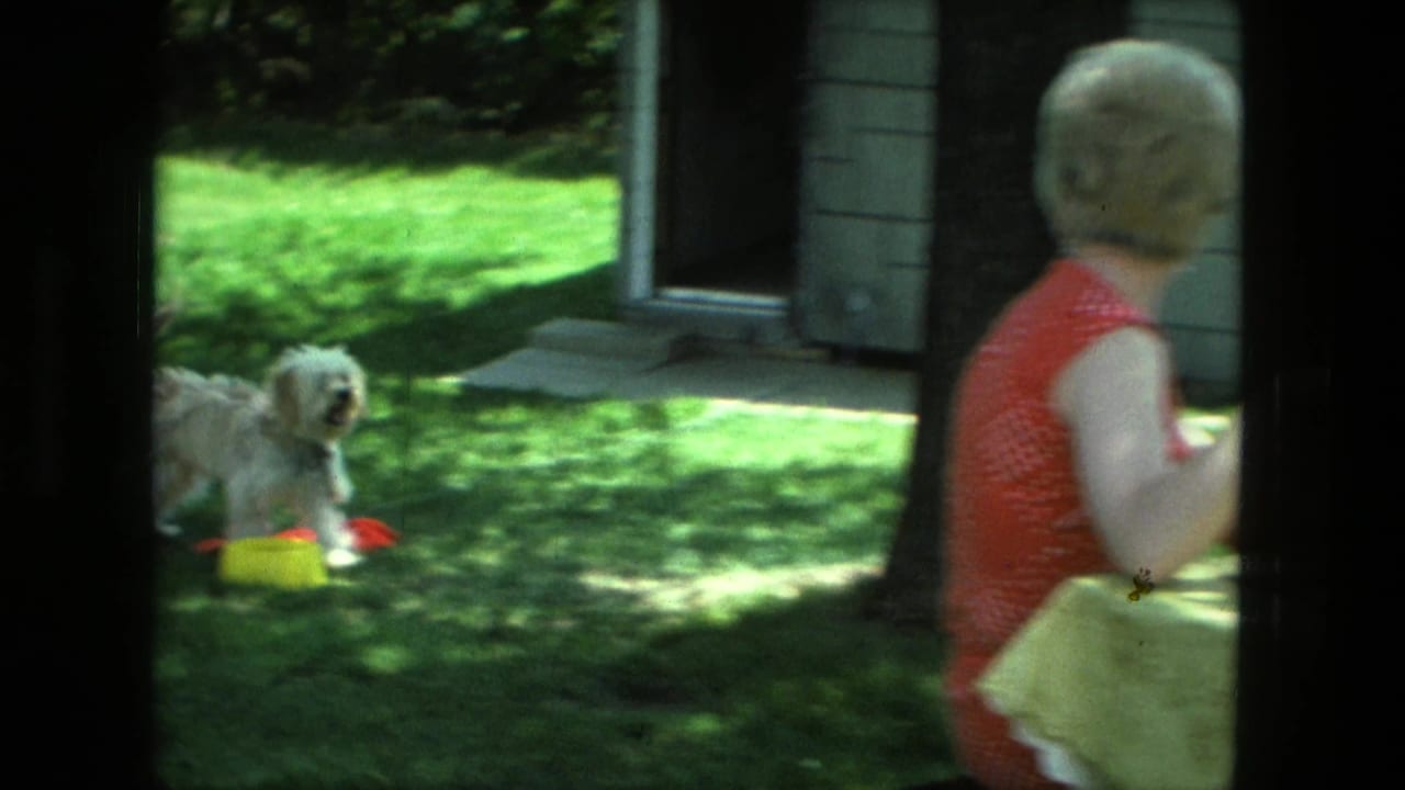 1976 Fort Wayne home-movie frame showing two women at a backyard meal table while a small white dog sits on the lawn.