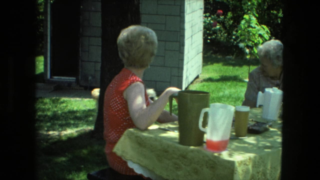 1976 Fort Wayne backyard scene with a woman in a red polka-dot dress seated at a refreshment table across from an older woman.