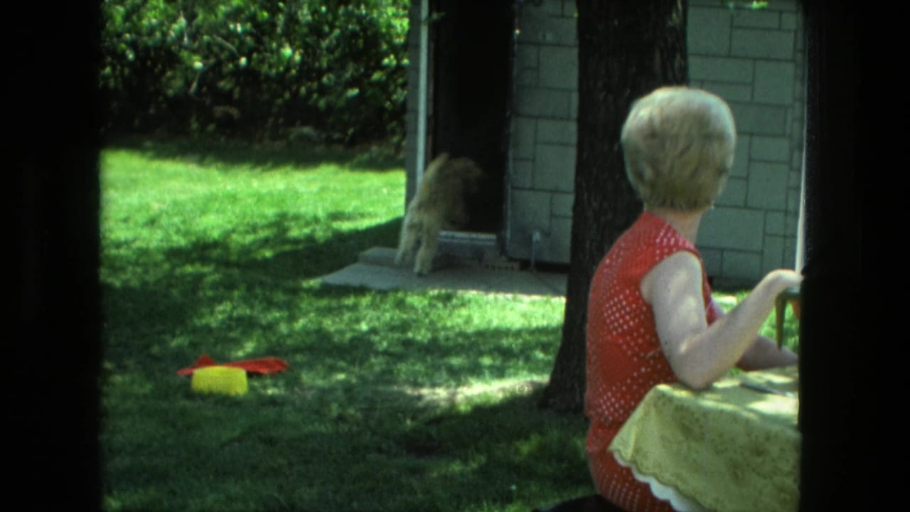 The small fluffy dog appears near the brick building doorway as the woman in red sits beside the table in the sunlit yard.