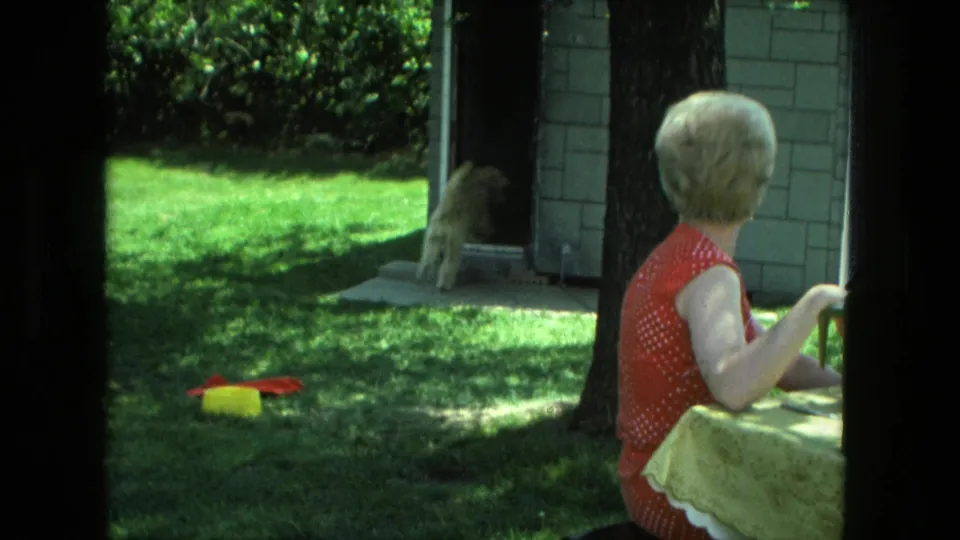 The small fluffy dog appears near the brick building doorway as the woman in red sits beside the table in the sunlit yard.