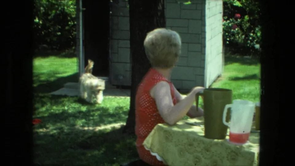 The small dog runs through the Fort Wayne yard as the seated woman remains beside the outdoor table with pitchers and cups.