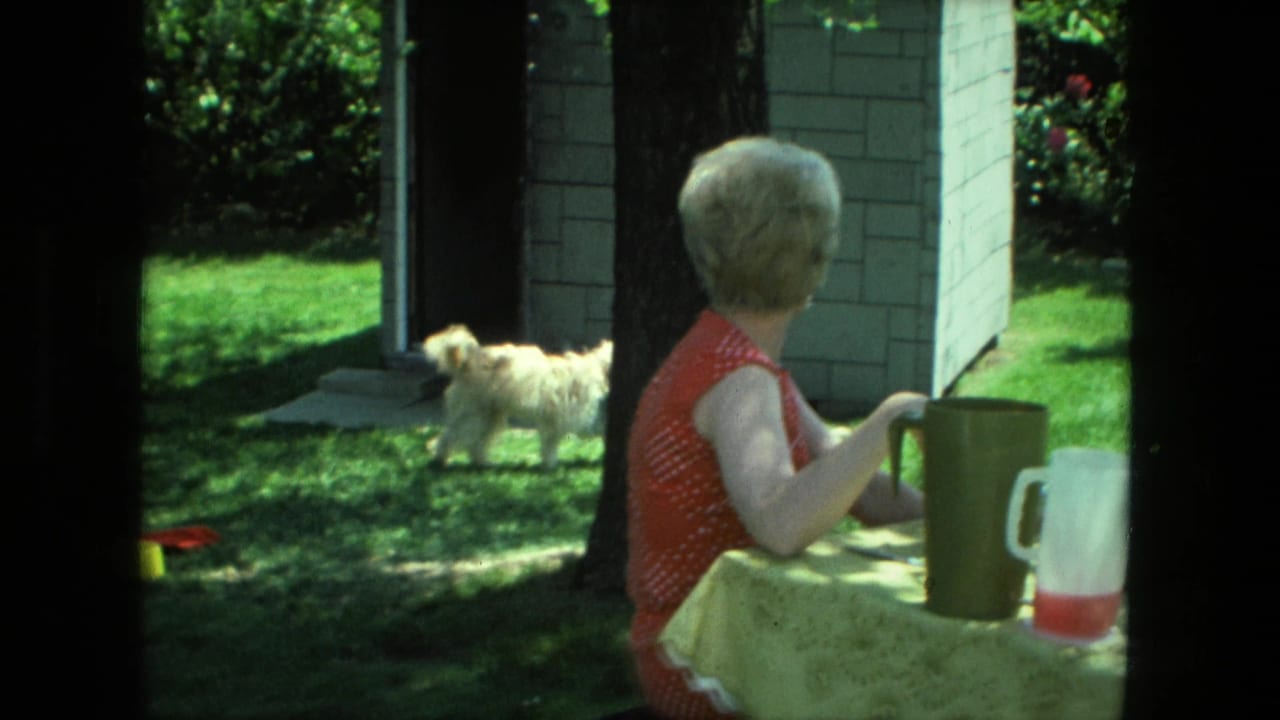 Woman in a red polka-dot dress sits at an outdoor table as a small white dog walks across the grass.