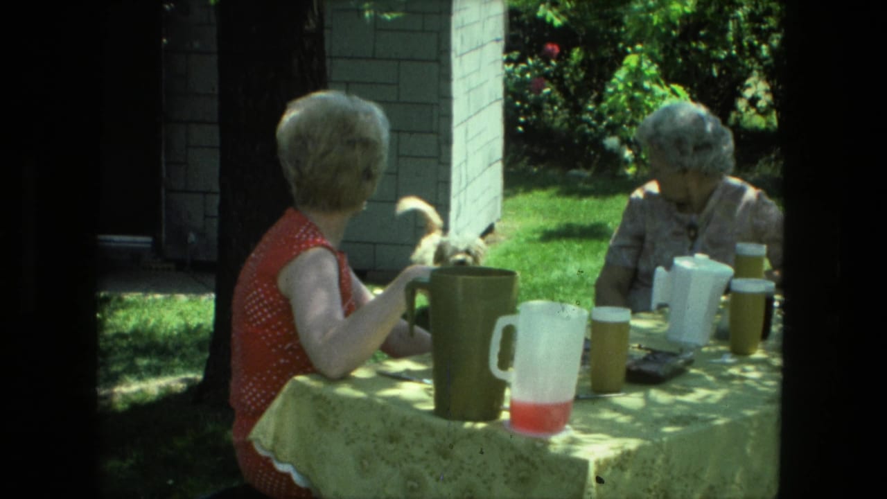 1976 Fort Wayne backyard scene with two women seated at a table, drinks set out, and a small white dog near the shaded brick building.