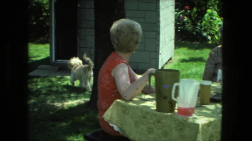 1976 Fort Wayne home-movie still with a seated woman, drink pitchers on a backyard table, and a small white dog crossing the grass.