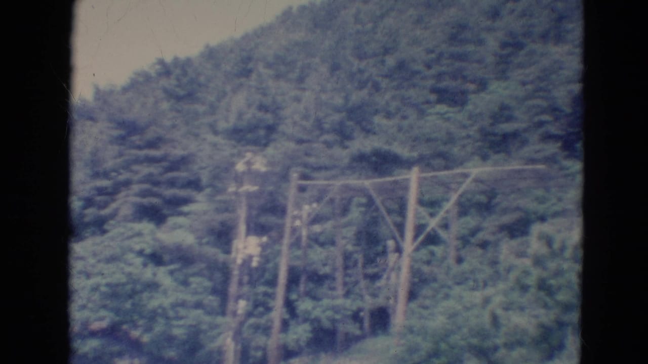 Forested hillside with wooden utility poles and overhead wires.