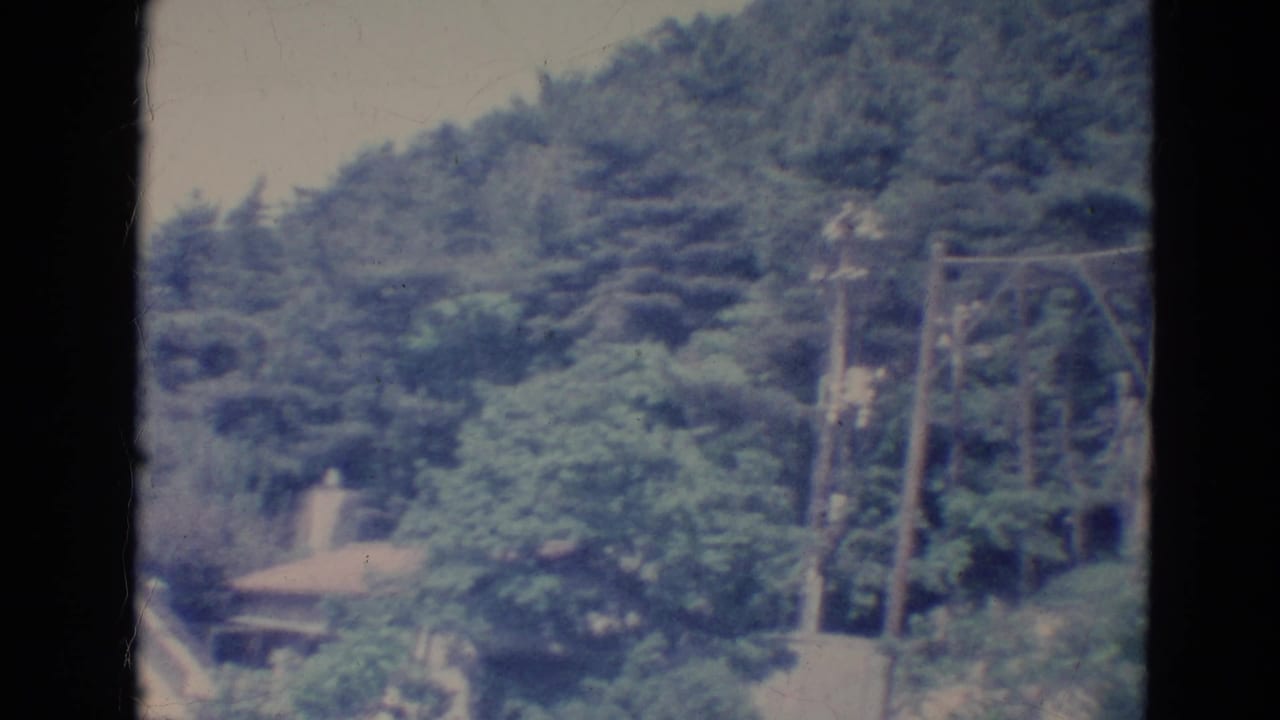 Trees, utility poles, and a partly hidden house roof on a hillside.