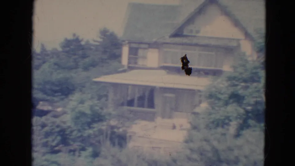 1976 Minnesota home-movie frame of the tan house behind trees, with visible 8mm texture and a dark mark on the film image.
