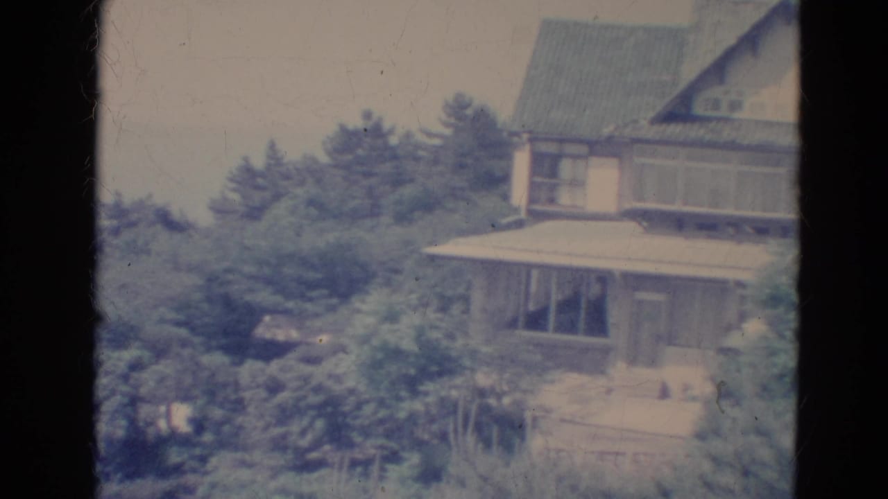 Two-story house partly hidden by evergreen trees and dark film borders.