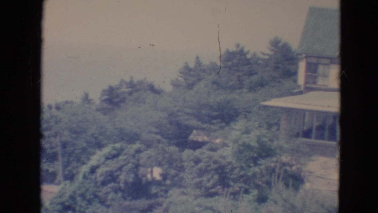 House edge and roofline seen through trees with a central dark film divider.