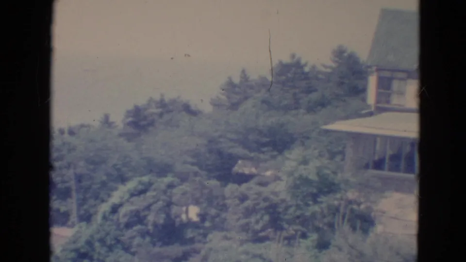 1976 Minnesota home-movie frame with the right side of a house visible beyond evergreens and garden growth.