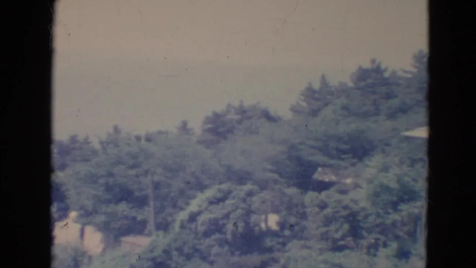 1976 Minnesota 8mm frame emphasizing dense wooded vegetation with a small portion of the residence at the edge.
