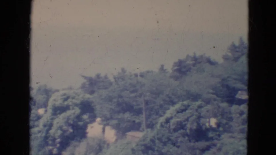 1976 Minnesota home-movie frame of a quiet wooded residential setting with trees, shrubs, and a partial house edge.