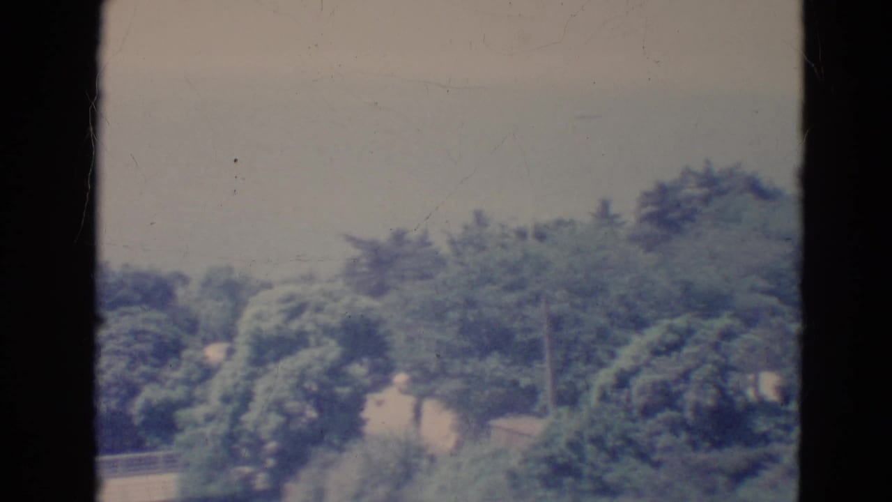 Leafy trees beyond a wall and railing, seen through dark film frame edges.