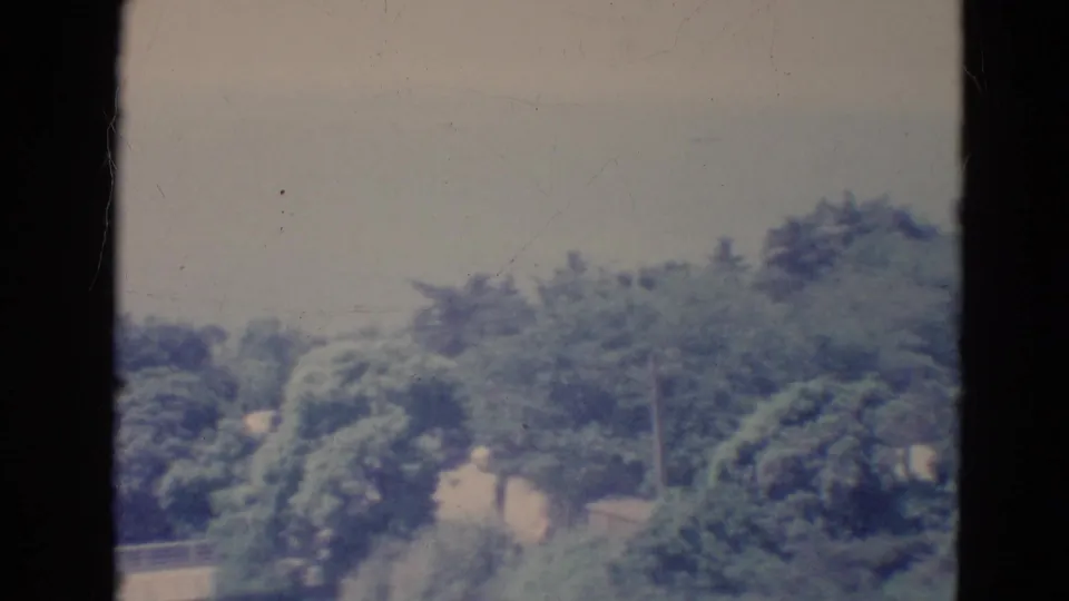 1976 Minnesota 8mm frame showing leafy trees, pale sky, and an urban wall or railing viewed through dark frame edges.