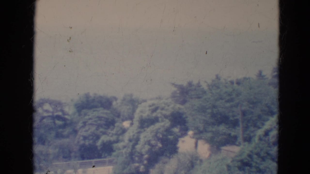 Trees, pale sky, and a railing behind dark vertical film borders.