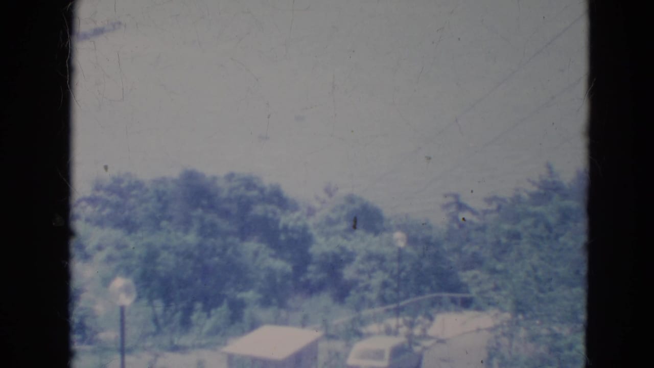 Elevated view of a quiet street with trees, a streetlight, a small structure, and a parked car.